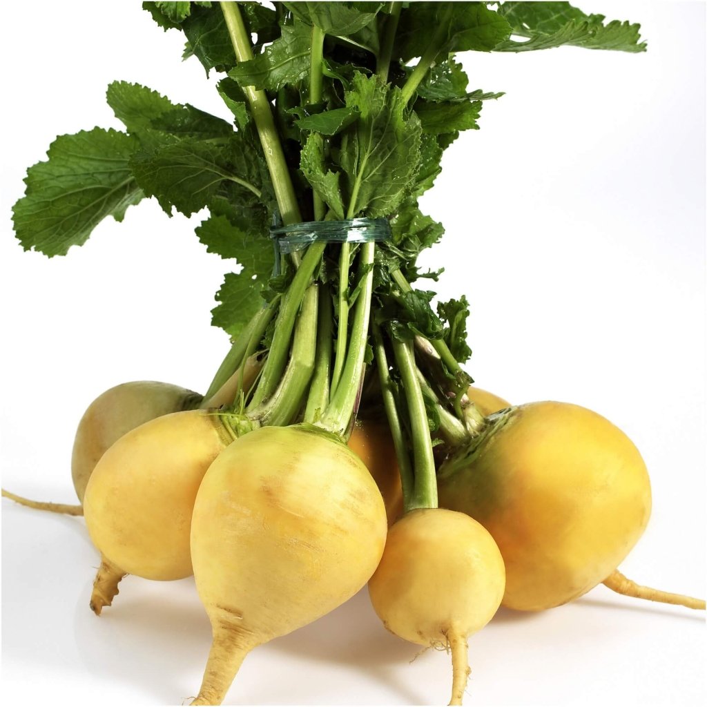 Turnip - Golden Globe seeds - Happy Valley Seeds