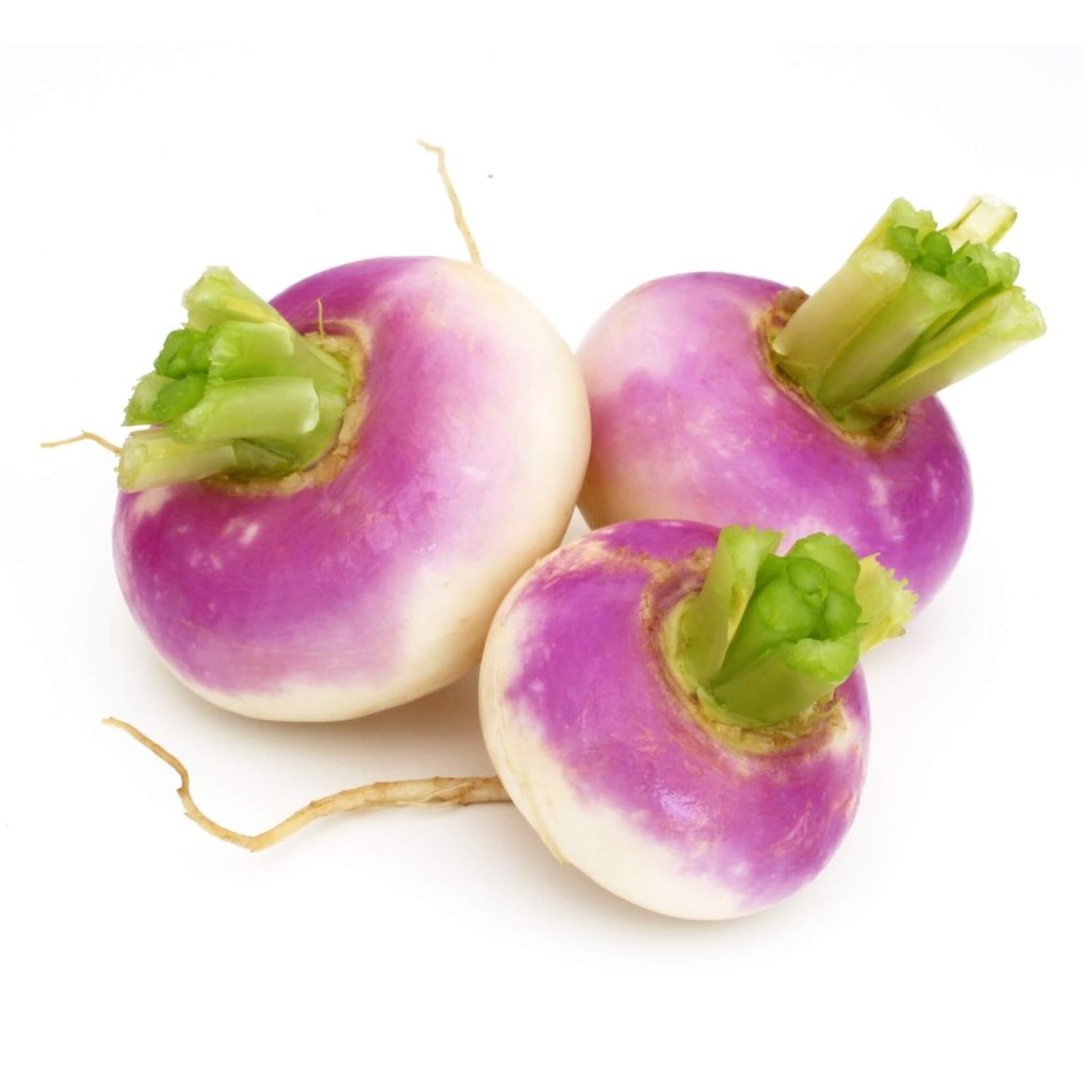 Turnip - Purple Top White Globe seeds - Happy Valley Seeds