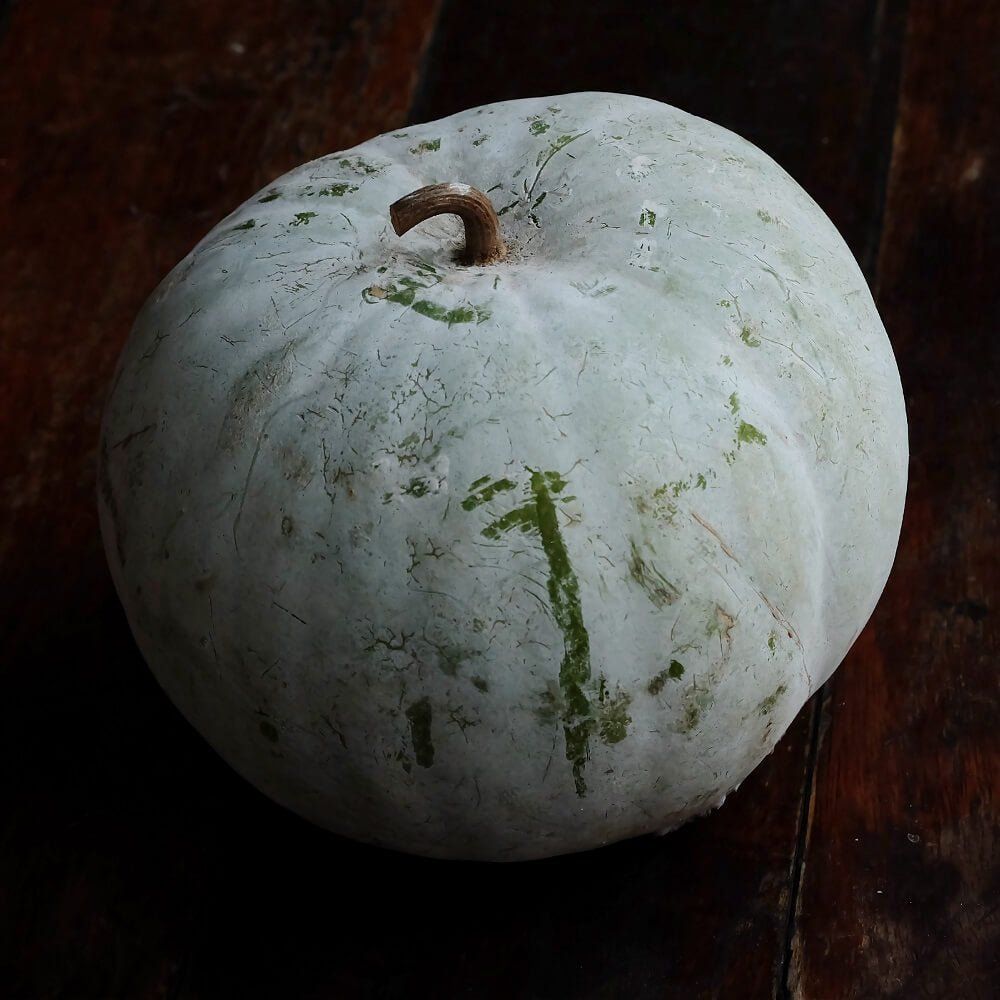 Wax Gourd - Winter Melon Round seeds - Happy Valley Seeds