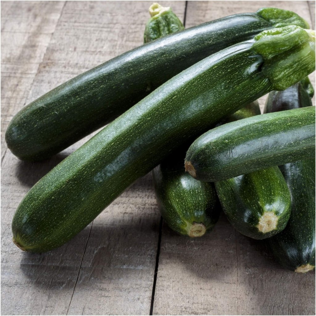 Zucchini - Black Beauty seeds - Happy Valley Seeds
