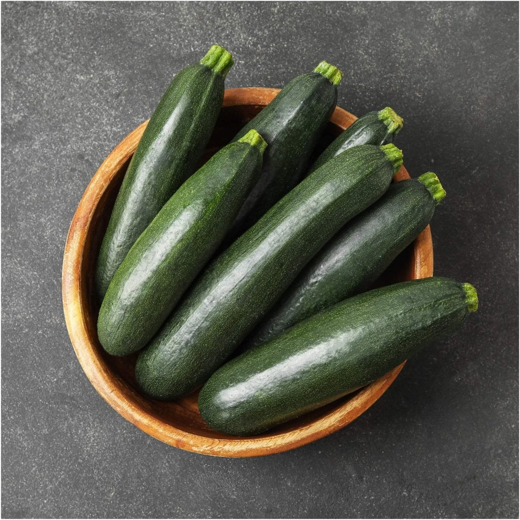 Zucchini - Monarch F1 seeds - Happy Valley Seeds